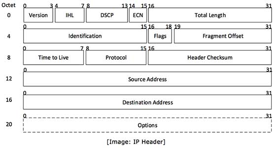 Network Packet